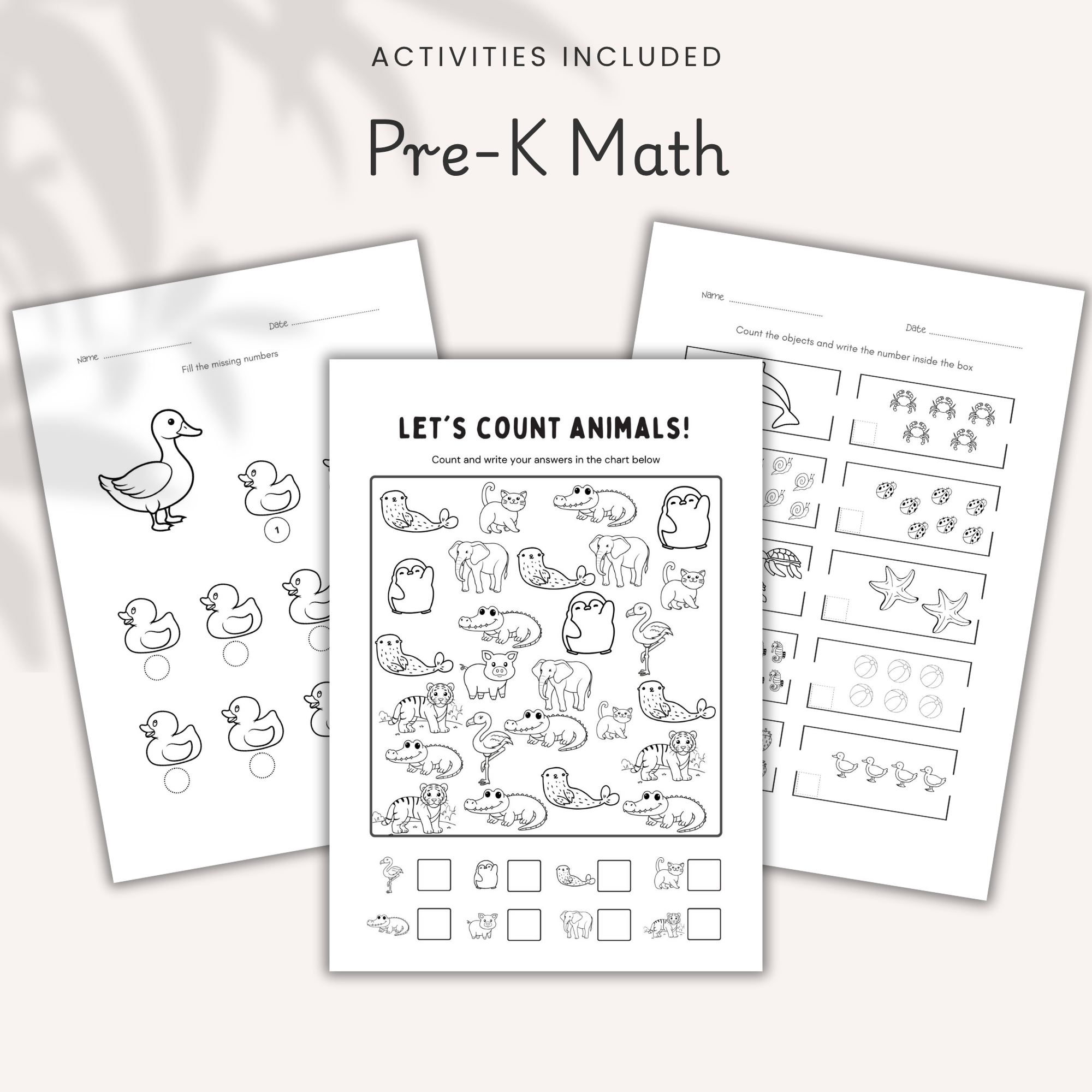 activity book