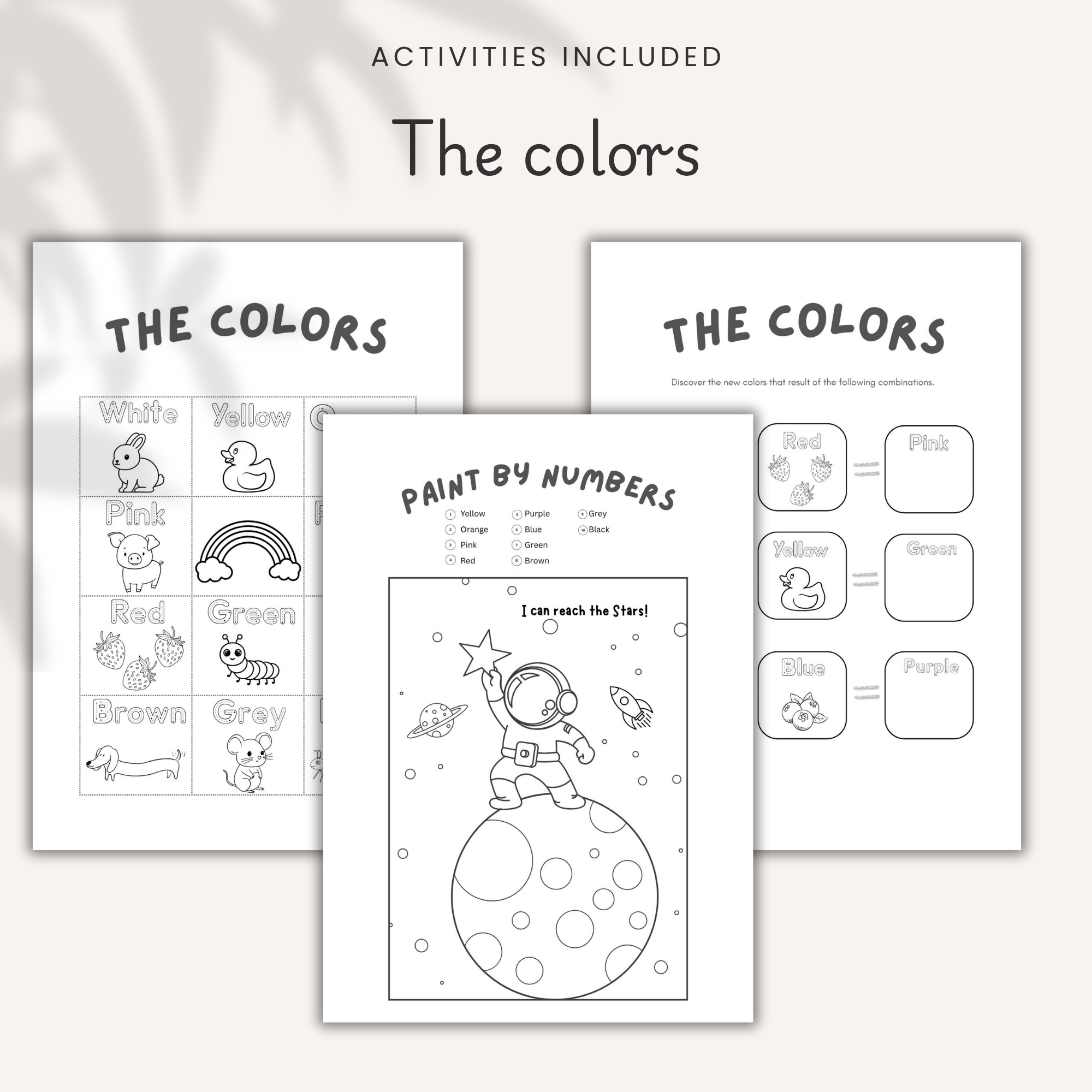 activity book